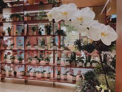 -二酉书店TOYOU BOOKS