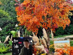 -HERRE·FARM 赫尔露营农场·团建聚会包场