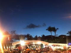 -渔家火锅·海鲜自助餐·演艺(亚龙湾天域酒店)