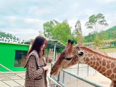 -泉州海丝野生动物世界