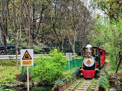 -上海共青森林公园