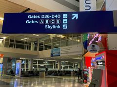 -达拉斯 沃斯堡国际机场