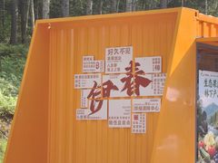 -汤旺河林海奇石景区
