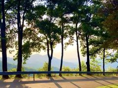 -风云岭森林公园