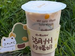 -猫的魔法密林(衣裳街店)