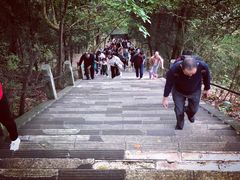 -窦圌山风景区
