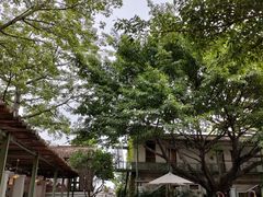 环境很好-喜洲吧·江畔老船厂·庭院餐厅(喜临院店)