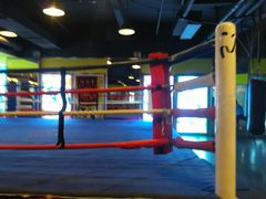 拳击-力美健(中华店)