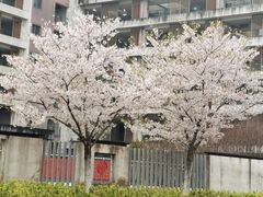 -苏州太湖国际会议中心