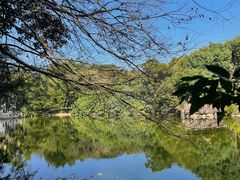 -深圳国际园林花卉博览园