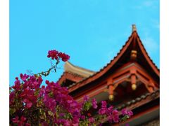 -成都市文化公园