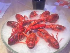 -红盔甲·小龙虾(定西路店)