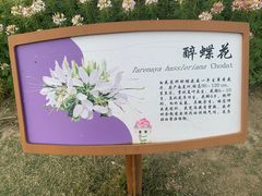 -径山花海