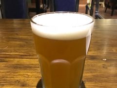 茉莉-百好乐宠物友好餐厅(朝外大街店)