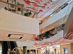 -岭南站NOVA