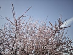 -三里河公园