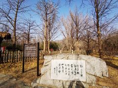-国家植物园