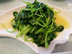 -博雅渔港·融合菜(维也纳国际大酒店)