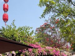 -鹅滋道(甘坑古镇店)