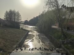 -句容茅山景区