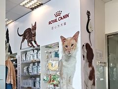 -瑞派申生动物医院·24H夜诊·国际动物医疗中心·骨外科(吴中路店)