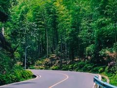 -蜀南竹海景区