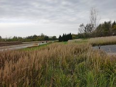 -汉长安城未央宫国家考古遗址公园