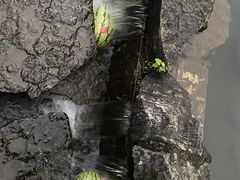 -大围山国家森林公园