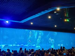 -华夏文旅海洋公园