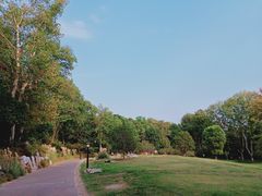 -习家池