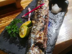 -酒窝烧鸟(科华街店)