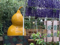 -丽泽山庄·生态怀柔菜·虹鳟鱼(红螺寺店)