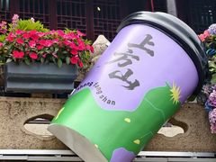 -苏州上方山国家森林公园