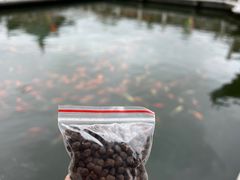 -东湖听涛景区