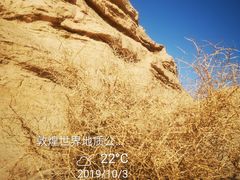 -敦煌雅丹国家地质公园