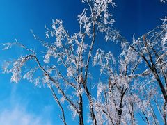 -中旅松花湖滑雪场