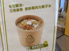 -油梨树AVOCADO TREE(望京店)