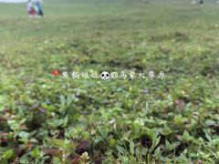 -乌蒙大草原