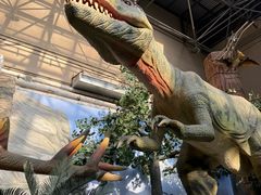 -国家自然博物馆