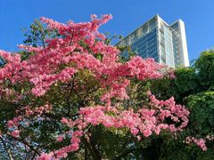 -欧阳小姐在成都(鼓楼店)
