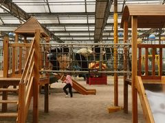 -南宫五洲植物乐园