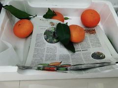 沃柑-西郊国际农产品交易中心