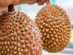 -开皇马来西亚榴莲美食店(华强北店)