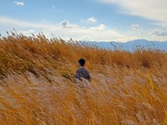 -盐湖景区