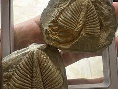 -房山世界地质公园博物馆