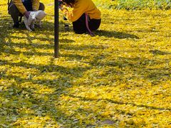 -医王山·飞騨国分寺