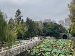 -水绘园