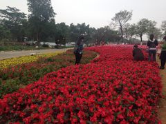 -松山湖梦幻百花洲