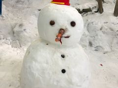 -哈尔滨热雪奇迹