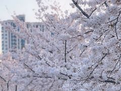 -龙美术馆(西岸馆)